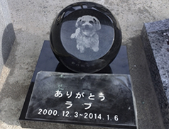 犬の柄が入ったお墓